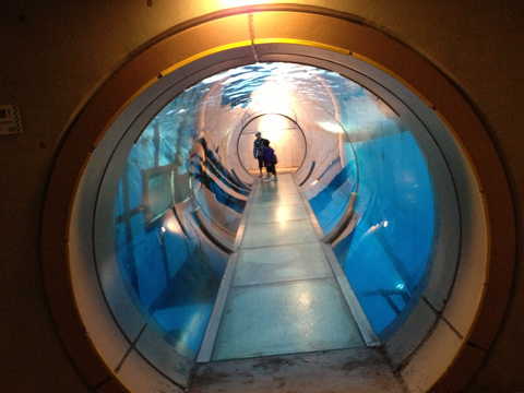 水槽トンネル２